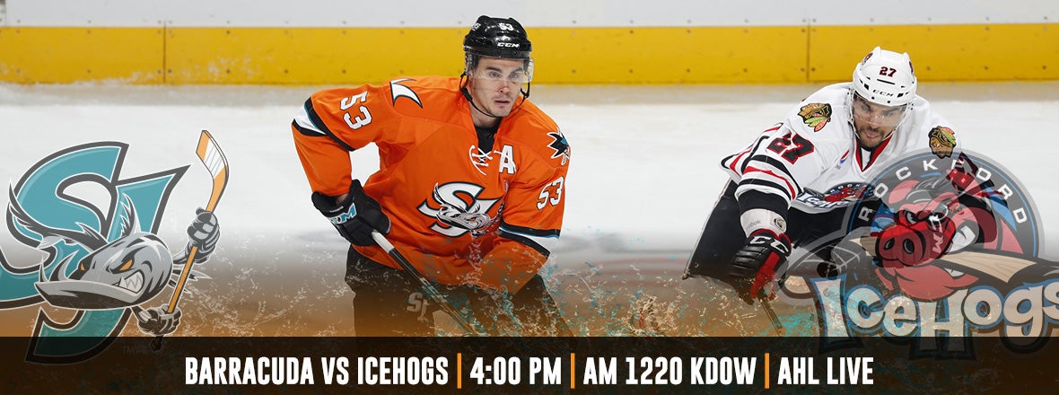 GAMEDAY: BARRACUDA AT ICEHOGS