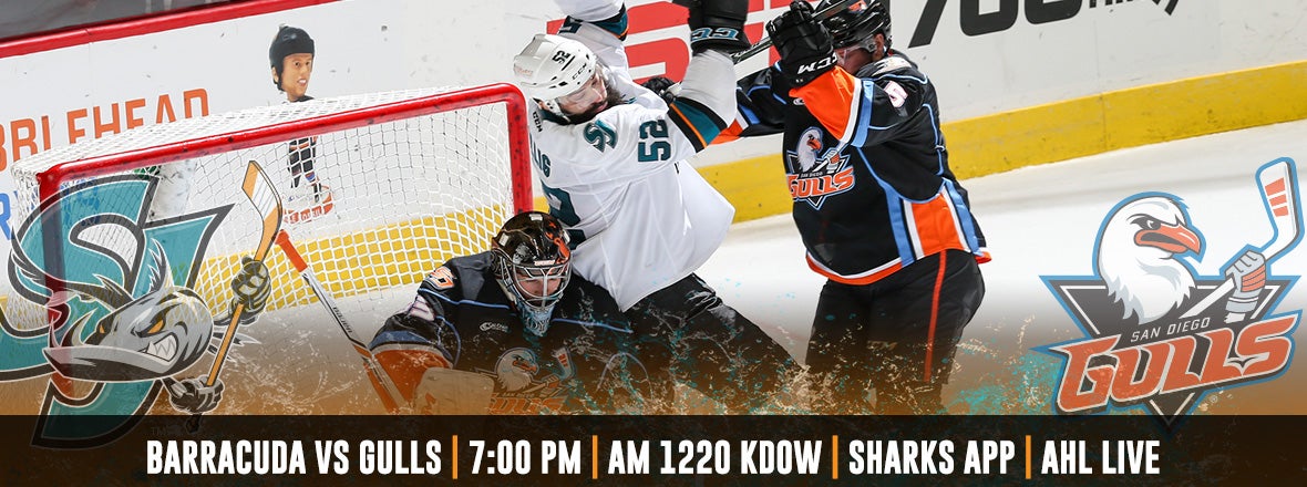 GAMEDAY: BARRACUDA AT GULLS