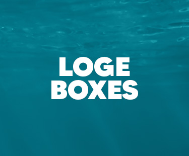 loge box box.jpg
