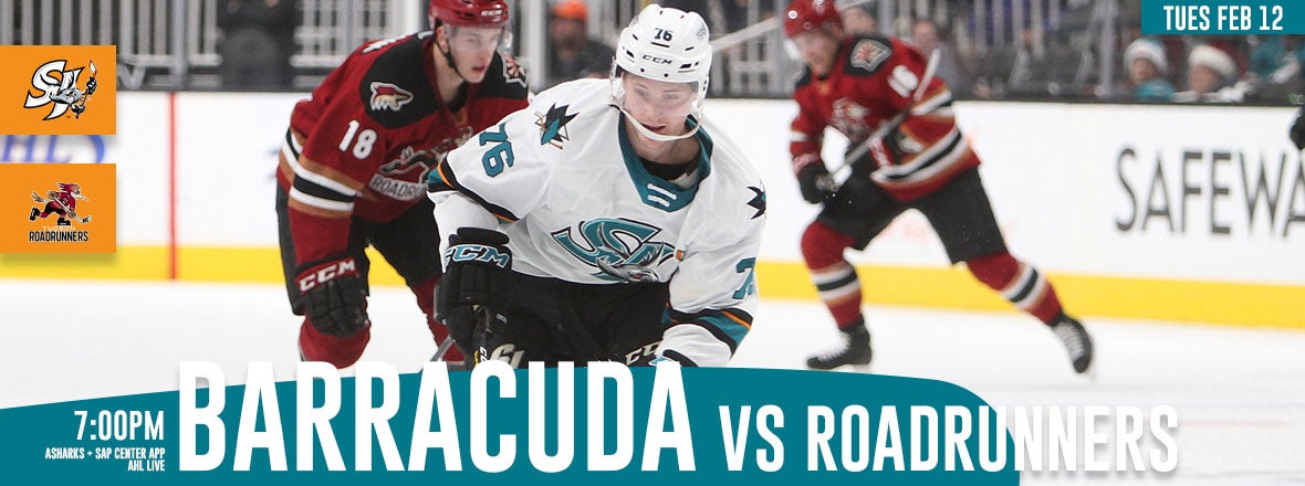 GAMEDAY: BARRACUDA VS ROADRUNNERS