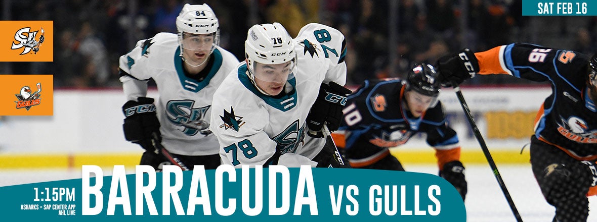 GAMEDAY: BARRACUDA VS GULLS